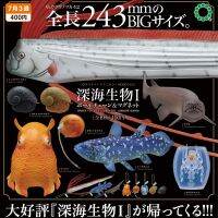 Ikimon Gashapon ของเล่นปลาฉลามทะเลน้ำลึกลาย Coelacantith Frill Shark Adorabilis ตราชั่ง Gigantocypris Balll Chain แม่เหล็ก