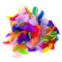 Wholesale 100Pcs 8-12CM Dyed Floating Feathers Crafts Jewelry Making Catcher Feather Pluma