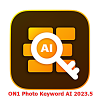 ON1 Photo Keyword AI 2023.5 v17.5.1.14058 (x64) [Pre-Activated] จัดการและค้นหาภาพถ่าย