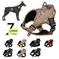 【FCL】☾ Dog Harness NO PULL Reflective Breathable Adjustable Pasted Name Outdoor Walking Collar