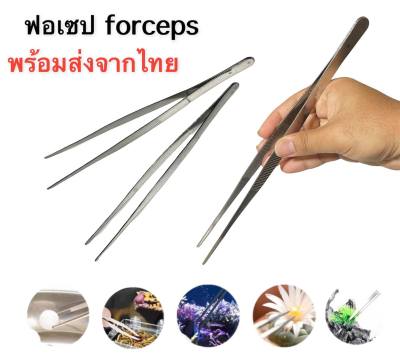 ที่คีบฟอร์เซป forcep ที่คีบใหญ่ ใช้คีบหน่อ ใช้เด็ดหน่อใช้คีบเกสร และผสมเกสรแคคตัส  ผสมเกสร แคคตัส กระบองเพชร