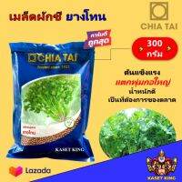 เมล็ดพันธ์ุผักชี ปลาวาฬ รวยทรัพย์ สายสมร ยางโทน 300กรัม Coriander กอใหญ่ แข็งแรง อัตราการงอก 90% ราคาถูก คุ้มค่า ผักชี