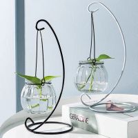 Creative hanging transparent hydroponic glass vase with flowerpot green pineapple aquarium simple modern small hanging bottle