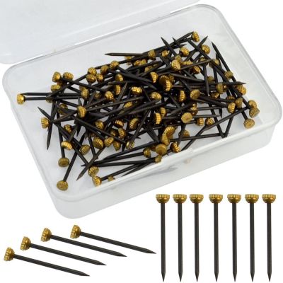 120 Pcs Plaster Picture Frame Hangers Nails Professional Picture Hanging Hooks ss Head Hanging Pins with Storage Box