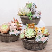 American Country Resin Fleshy Flower Pot Plant Landscape Flower Pot Flower Garden Decoration