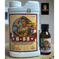 ปุ๋ย B-52 Advanced Nutrients ปุ๋ยทำใบ เร่งราก รวมวิตามิน B ช่วยต้นแข็งแรงขึ้น (ขนาด1L /500MLขวดแท้เมกา)