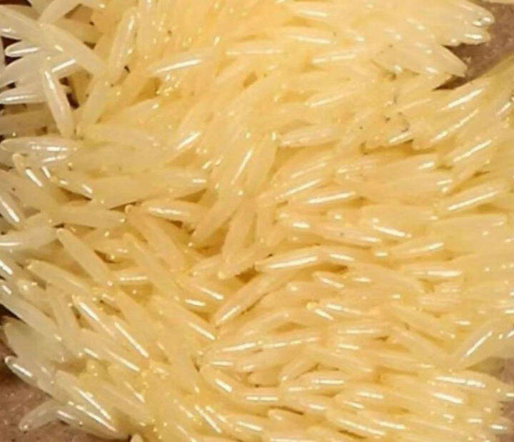 Black Soldier Fly Egg/BSF EGG Lazada