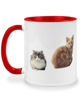 แก้วอ้วน 2 stray cats watch curiously แมวจร 2 ตัวเฝ้ามองอย่างสงสัย แก้วชง แก้วมัค twotone coffee mug แก้วสองสี แก้วสกรีน แก้วกาแฟ ของขวัญ ของที่ระลึก ของขวัญวันเกิด