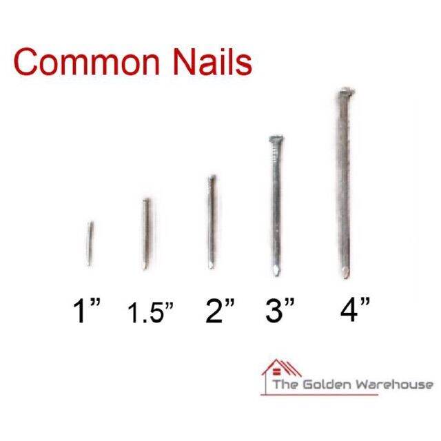 Common Nail Size 1 1 2 Pako Sold Per Kilo Lazada PH