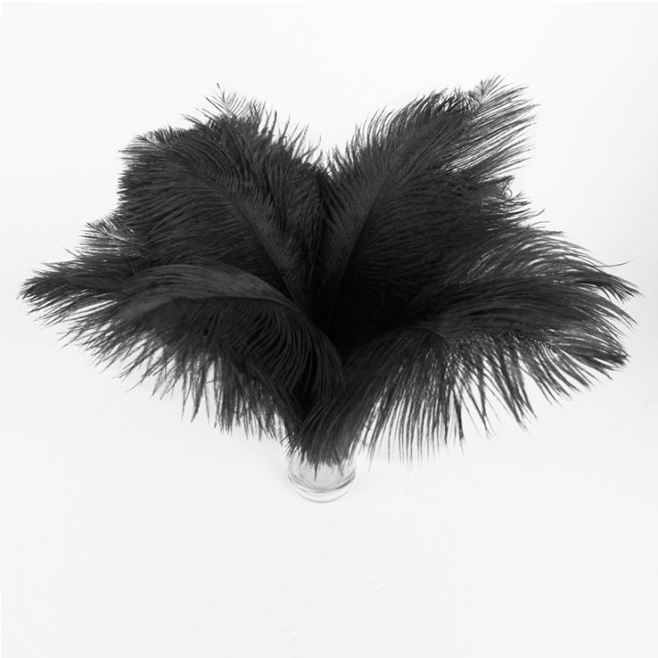 20-x-natural-ostrich-25-30-cm-black-party-decoration