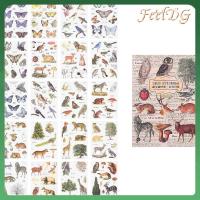 FEELDG 20sheets หลากสี สติกเกอร์ติดผนัง สัตว์เลี้ยงสำหรับสัตว์เลี้ยง สติกเกอร์รูปนก สติกเกอร์สมุดติดรูป สติกเกอร์แบบใส ดีไอวาย