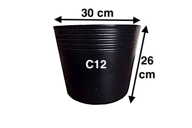 10 Chậu nhựa giá rẻ ươm giống - C12 đen - KT: 30cm*26cm*24cm ...