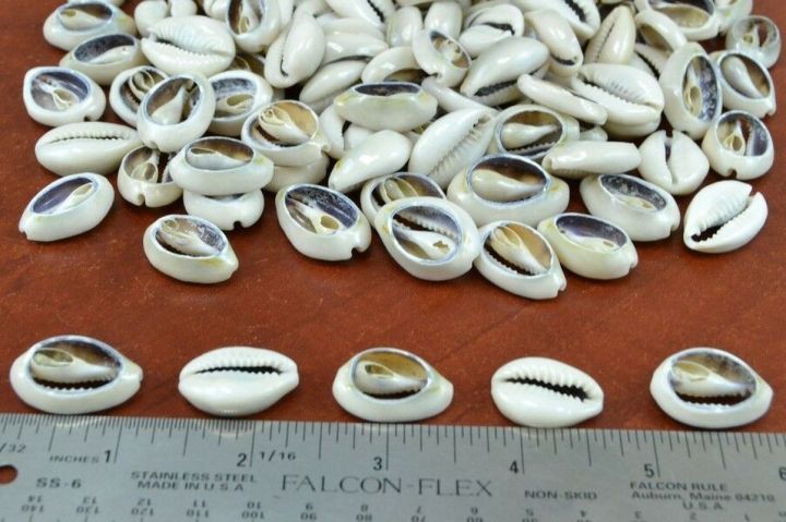 cowrie-shells-jewelry-making