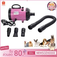 PON ปัตตาเลี่ยนตัดขนสุนัข Boqi Factory ไดร์เป่าขน 2800W เครื่องเป่าขนสัตว์เลี้ยงชุดสุนัข/แมว เครื่องเป่าขนสัตว์เลี้ยง ไดร์ขนสุนัข  SH-168 ตัดขนหมา บัตตาเลี่ยนตัดขน แบตตาเลี่ยน