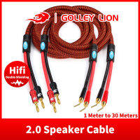 GOLLEY LION สายสัญญาณเสียงแบบสปีกเกอร์ Hifi,สายสัญญาณเสียง2.0พินสำหรับระบบเสียงเซอร์ราวด์แอมป์1คู่