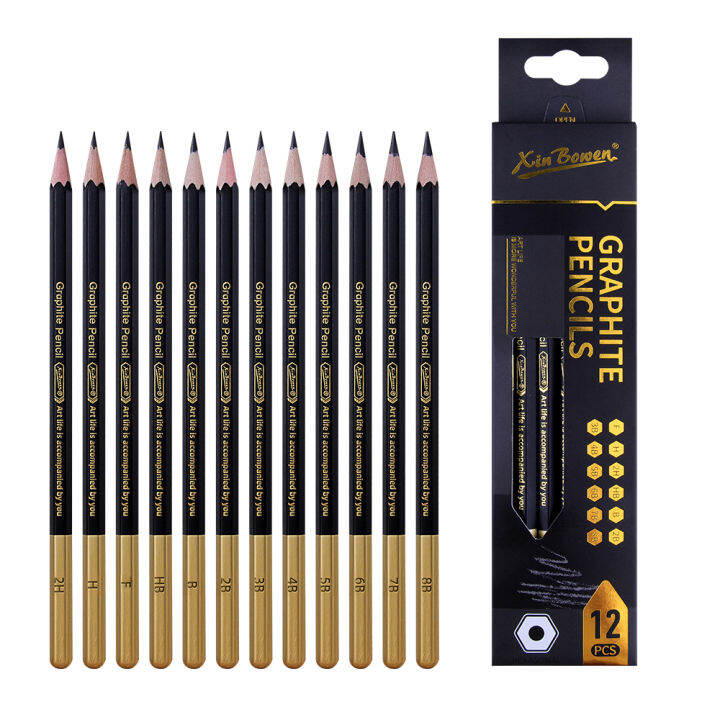 Professional Charcoal Pencils Set 12Pcs Sketch Black Pencils for