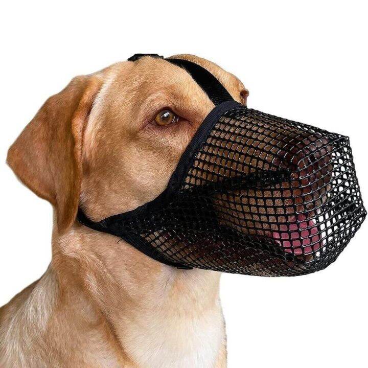 chewing-for-licking-breathable-pet-muzzle-dog