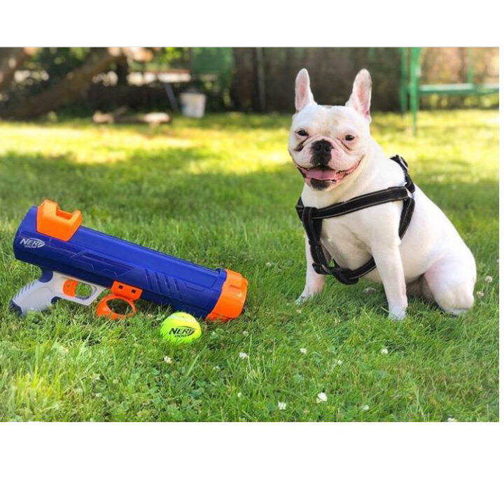 nerf-dog-เนิร์ฟด็อก-tennis-ball-blaster-ปืนยิงลูกเทนนิส-ของเล่นสุนัข-มีขนาด-small-และ-medium