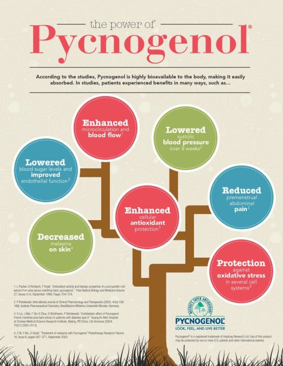 เปลือกสนฝรั่งเศสสกัด-pycnogenol-50mg-50-capsules-swanson-สารสกัดเปลือกสนมาริไทม์-จากประเทศฝรั่งเศส-antioxidant-support