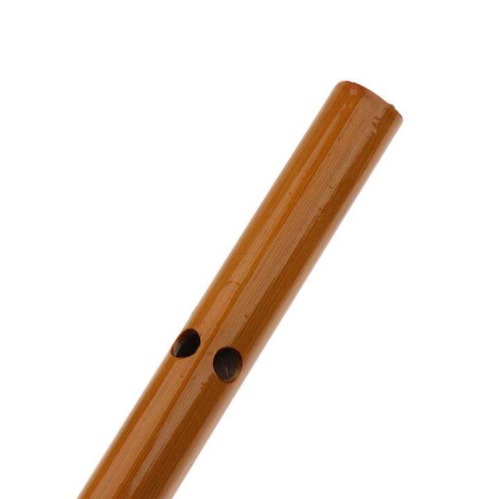BNMUSIC Chinese Bamboo Flute Xiao Woodwind Musical Instrument Lazada