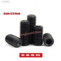 M5 M6 M8 M10 Hex Hexagon Socket Set Screw Cup Point Grub Screws DIN 916 No Head Headless Screw Grade 12.9 Steel Black