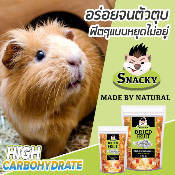 snacky-dried-fruit-สแนคกี้ฟิต-ผลไม้อบแห้ง-เกรดพรีเมี่ยม-คาร์โบไฮเดตรสูง-สำหรับ-นก-กระรอก-ชิลชิล่า-หนูแฮมสเตอร์-ลิง-ขนาดอิ่มพอดี-500-กรัม-ถุง