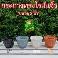 กระถางโรมันจิ๋ว กระถางแคคตัส ขนาด3นิ้ว‼️