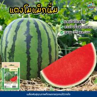 เมล็ดแตงโม แม็กนั่ม F1 ตราเจียไต๋ Watermelon แตงโมไร้เมล็ด เมล็ดพันธุ์แตงโม แตงโมแม็กนั่ม เจียไต๋