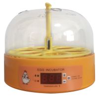 Flash Sale Mini Digital 6 Eggs Incubator เครื่องฟักไข่อุณหภูมิอัตโนมัติ