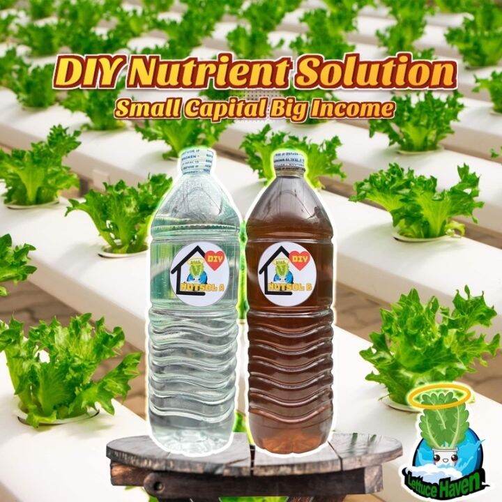 【2023】 Hydroponics Nutrient Solution (DIY) Lazada PH