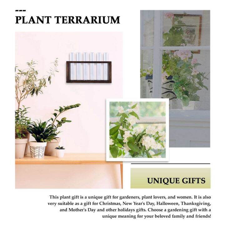 plant-terrarium-with-wooden-stand-desktop-wall-hanging-live-plant-propagation-station-planters-glass-tubes-hydroponic