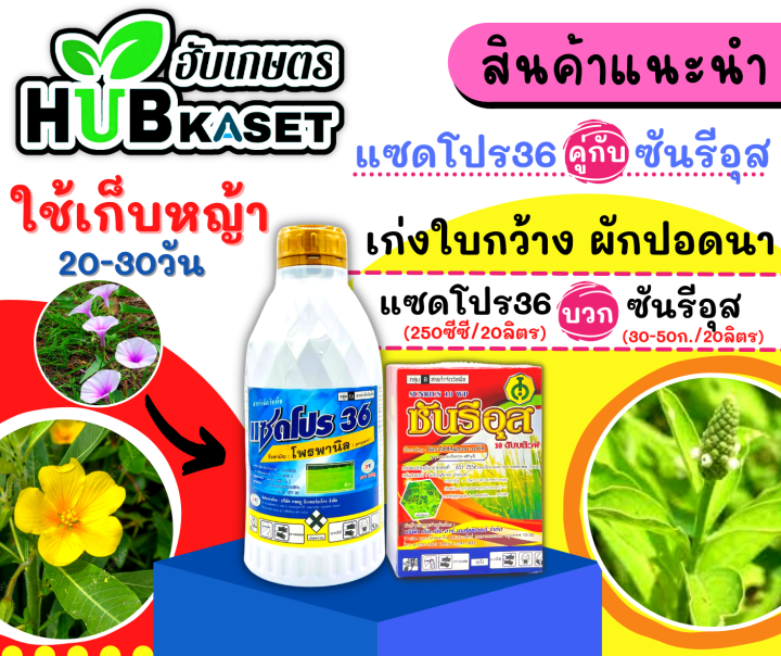แซดโปร36-1ลิตร-โพรพานิล-คุมวัชพืชในนาหว่านน้ำตม-ทั้งใบแคบ-ใบกว้างและกก