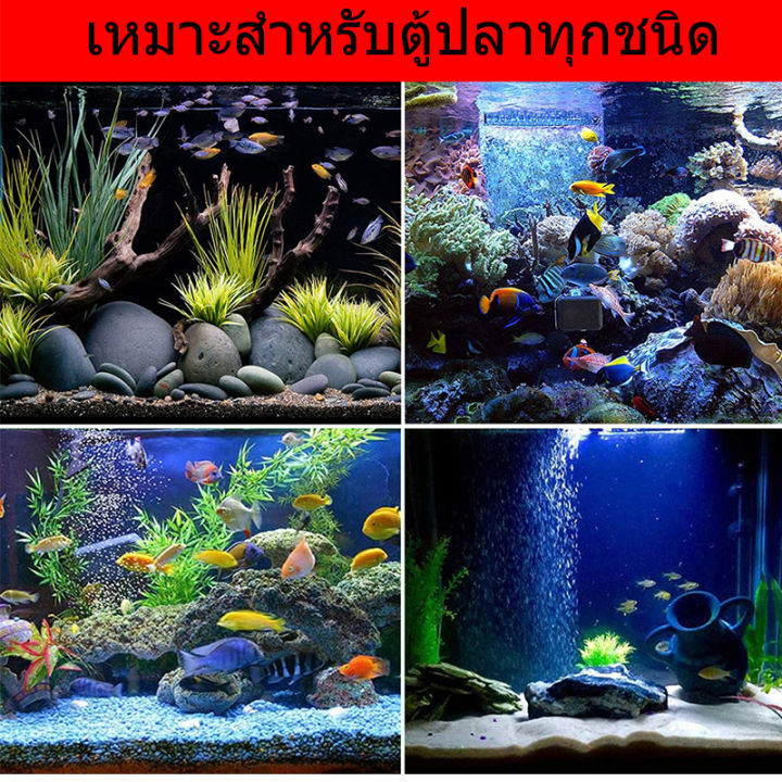 ส่งเร็ว-20ชิ้น-หัวทราย-ละเอียด-air-stone-หัวออกซิเจน-เพิ่มออกซิเจนในตู้ปลา-ราคาถูกสุด