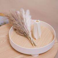 【YF】❖❡  1SET Decoration-1 Bunch 38CM(H) Reed Wood Flower 1PC Plastic Bottle-23608ZH12 4 2 2 4