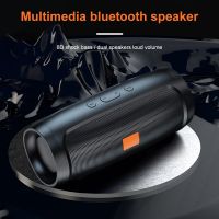 Bluetooth Speaker Dual Speaker Stereo Outdoor Tfusb Playback Fm Voice Broadcasting Portable Subwoofer 50 Wireless Speaker Power Points  Switches Saver