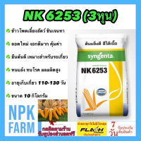 ข้าวโพดเลี้ยงสัตว์ เอ็นเค NK 6253 เบอร์3 (3 หุน) ขนาด 10 กิโลกรัม ซินเจนทา เมล็ดเล็ก หมดอายุ01/2568 ลอตใหม่ ทนแล้ง ทนโรค ผลผลิตสูง npkplant