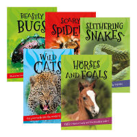 Its all about spider spiders wild cats childrens English Encyclopedia of animals popular science books