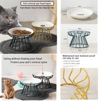 Ceramic Raised Pet Bowl Food Water Treats for Cats amp.Dogs Supplies Outdoor Feeding Drinking Accessories Doggie Cat Stand Bowl