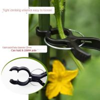 Plant Grafting Clip Plastic Gardening Tool for Cucumber Eggplant Watermelon, Round Mouth Flat Mouth Anti-fall Clamp Plant Stand