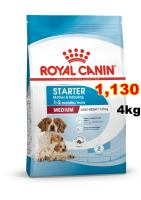 Royal Canin Medium Starter ขนาด 4 kg.