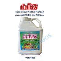 มันโต้พี ขนาด 5ลิตร ขยายหัวมัน ระเบิดหัว สร้างแป้ง