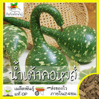 เมล็ดพันธุ์ น้ำเต้าคอหงส์ 6 เมล็ด Speckled Swan Gourd Seed เมล็ดพันธุ์แท้100% นำเข้าจากต่างประเทศ ปลูกผัก สวนครัว ถูกดี