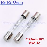 6x40mm 5KV Microwave Oven Fuse 0.5A 0.6A 0.65A 0.7A 0.75A 0.8A 0.85A 0.9A Glass Tube Fuse 5000V 6x40mm High-Pressure Fuse