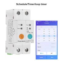 63A Single Phases WIFI Smart Energy Meter Kwh Metering Monitoring Circuit Breakers