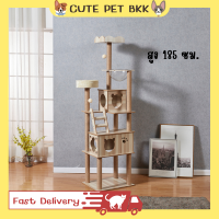 ?Cute Pet BKK? คอนโดแมว คอนโดแมวถูกๆ คอนโดแมวราคาถูก คอนโดแมวใหญ่ 185cm. คอนโดแมวลดราคา คอนโดแมวสูง คอนโดแมวแบบไม้ มีหลุมใส บันได