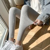 【VV】 Leggings Seamless Waist Female Clothing Leggins