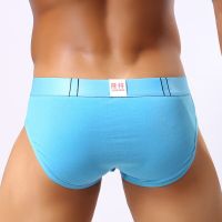 Sexy Fashion Novelty Designer Man Sexy Enhancing Penis Funny Briefs Underwear Gay Male Elephant Jockstrap Panties Size S M L