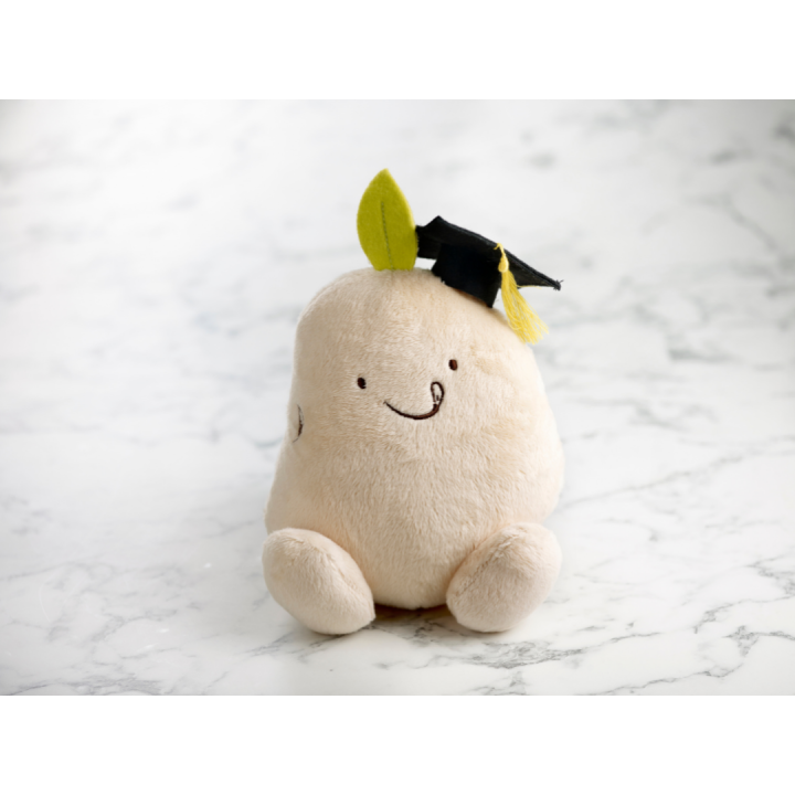 Mr Bean Graduation Plush | Lazada Singapore