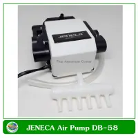 ปั๊มออกซิเจน Air Pump Jeneca DB-58 ต่อได้ 10-20 หัว