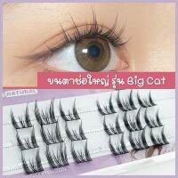 ขนตาปลอม ขนตาช่อ รุ่น ช่อใหญ่ Big cat ยาว 10-13mm 18 ช่อ สายแบ๊ว